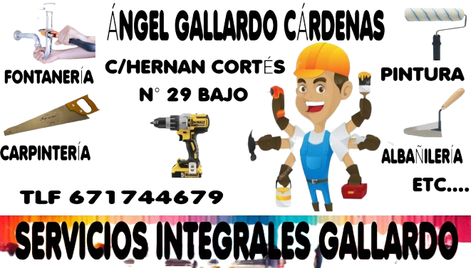 Servicio Integrales Gallardo