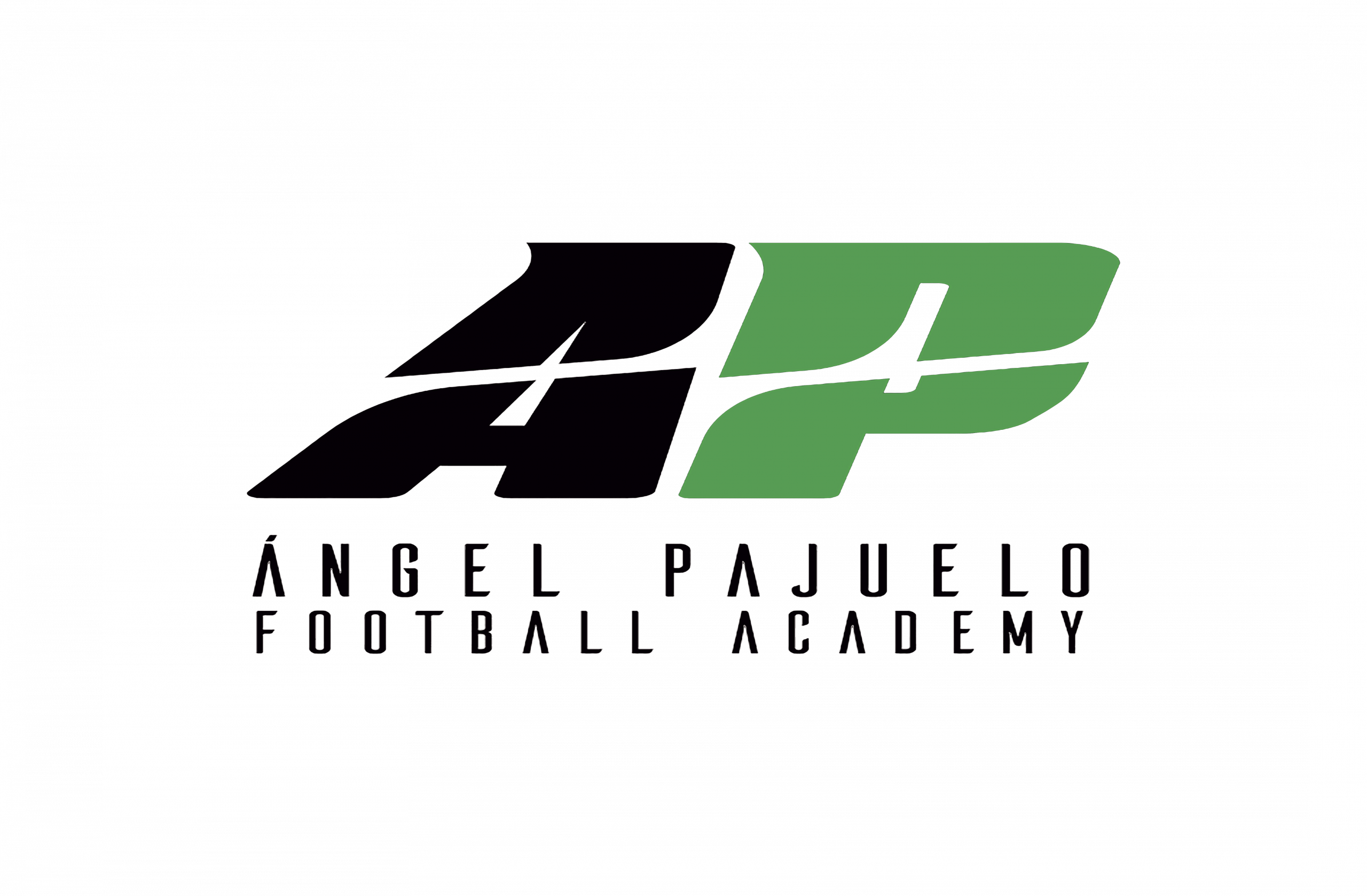 AP Angel Pajuelo